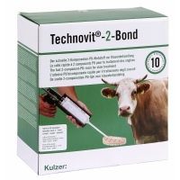 Technovit-2-Bond Starterset,mit Dosierpistole f. 10 Anwendungen